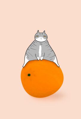 img4277619.png