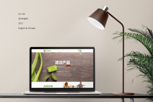 Synergetic. Дизайн + Project Manager