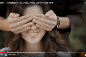 Ed Sheeran - Perfect (cover by Shihov Andry Dostoevsky Beard)