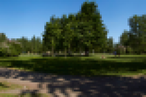 Панорама парка