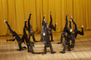 Хореографического коллектив