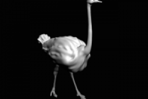 3D модель страуса