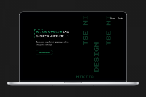 Веб-разработчик | Никита Цельман