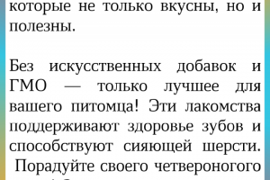 Реклама магазина зоотоваров "Усатый-полосатый"