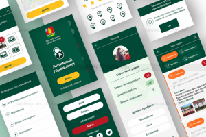 Дизайн приложения портала госуслуг Активный Горожанин