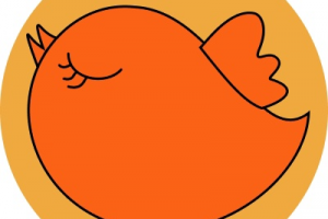 Оформление соц сети