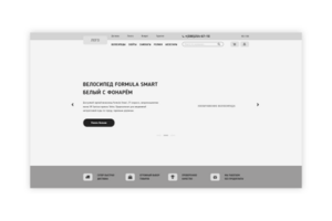 Детальный прототип для магазина "Reason"