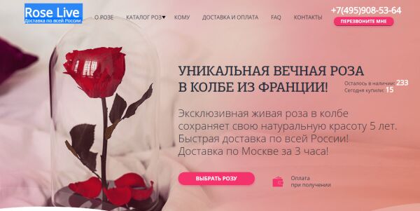 img3224551.png