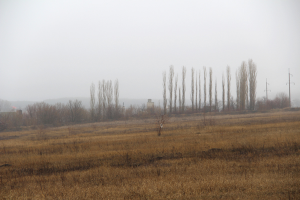 Работа 3903840