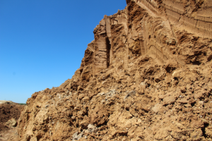 Работа 3903836