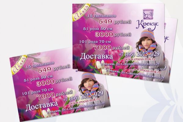 img3904242.png