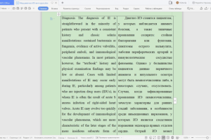 Мед диагноз ИЭ англ-русс