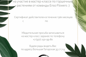 Сертификат на мастер-класс по горшечным растениям