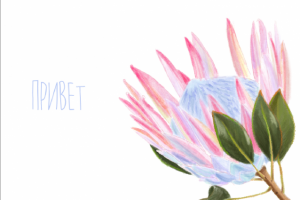 Открытка к букету