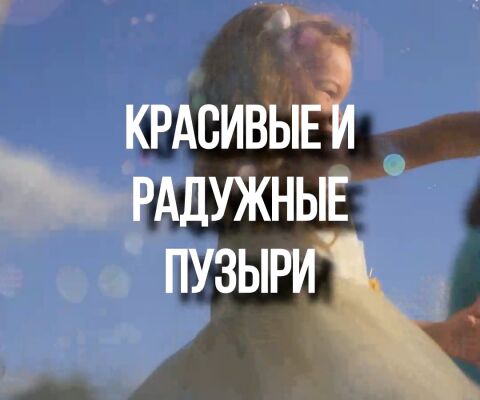 img3731645.png