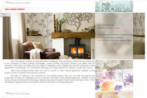 Начитка на английском для ролика Sun Studio Printing Technology