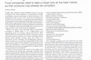 En-Ru Возможности рынка халяль