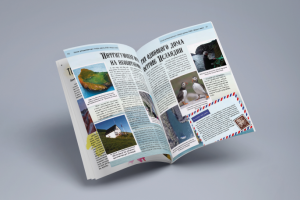 Разворот журнала