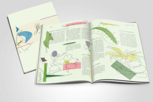 Разворот журнала