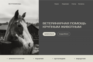 Дизайн сайта для ветеринарной клиники