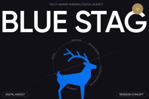 Blue Stag | digital agency
