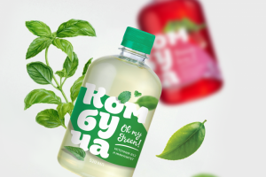 Напитки "Комбуча и морс"