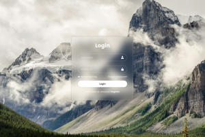 Окно логина