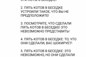 Заголовок для YouTube