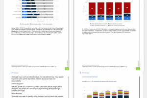 Маркетинговое исследование рынка игрушек для животных в США