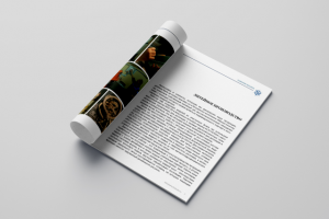 Разработка книги для компании "Yachtline"