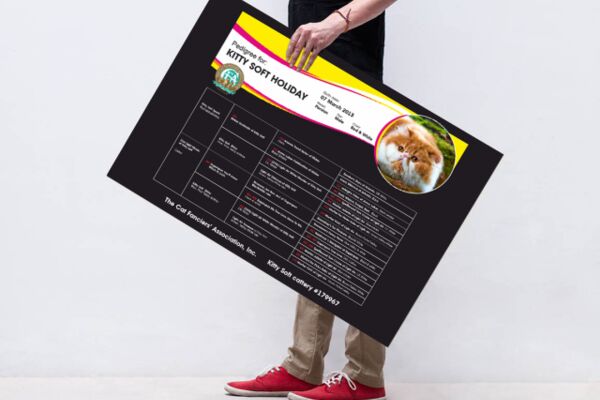 img3493530.png