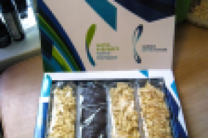 Коробка для чак-чак "Наука будущего - наука молодых"