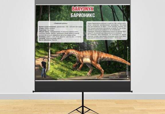 img3438959.png