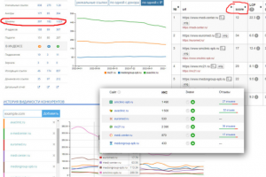 Краткий аудит ниши "семейный медицинский центр", регион СПб