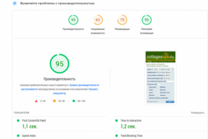 Быстродействие сайта 95 из 100 по Google PageSpeed Insight