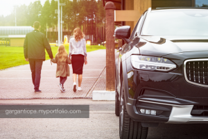 Работа 3365056