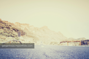 Работа 3365083