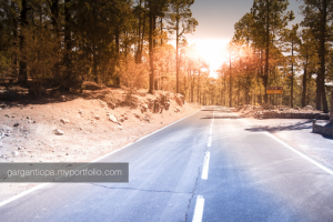 Работа 3365082