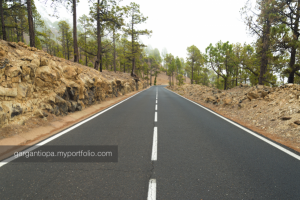 Работа 3365049