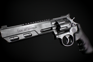 Smith & Wesson Model 686 Competitor