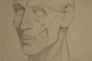 Голова Гудона. Карандаш