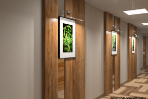 Визуализация помещений клиники