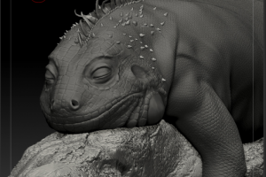 модель игуаны