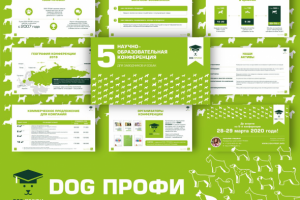 Презентация проекта "DOG ПРОФИ"