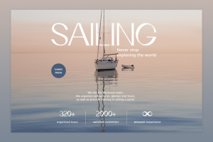 Разработка сайта Monsoon