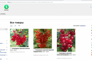 Работа 3756338