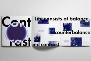 Верстка ЗИНа