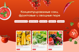 Дизайн первого и второго экранов сайта