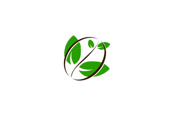 img3858132.png