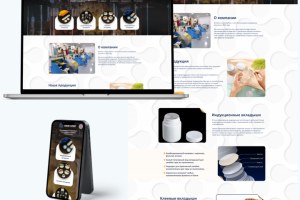 Лэндинг seal-liner.ru под ключ